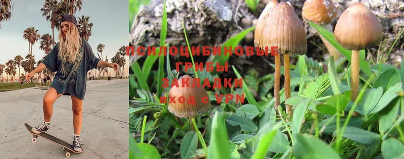 что такое наркотик  ссылка на мегу зеркало  Галлюциногенные грибы Magic Shrooms  Лесозаводск 